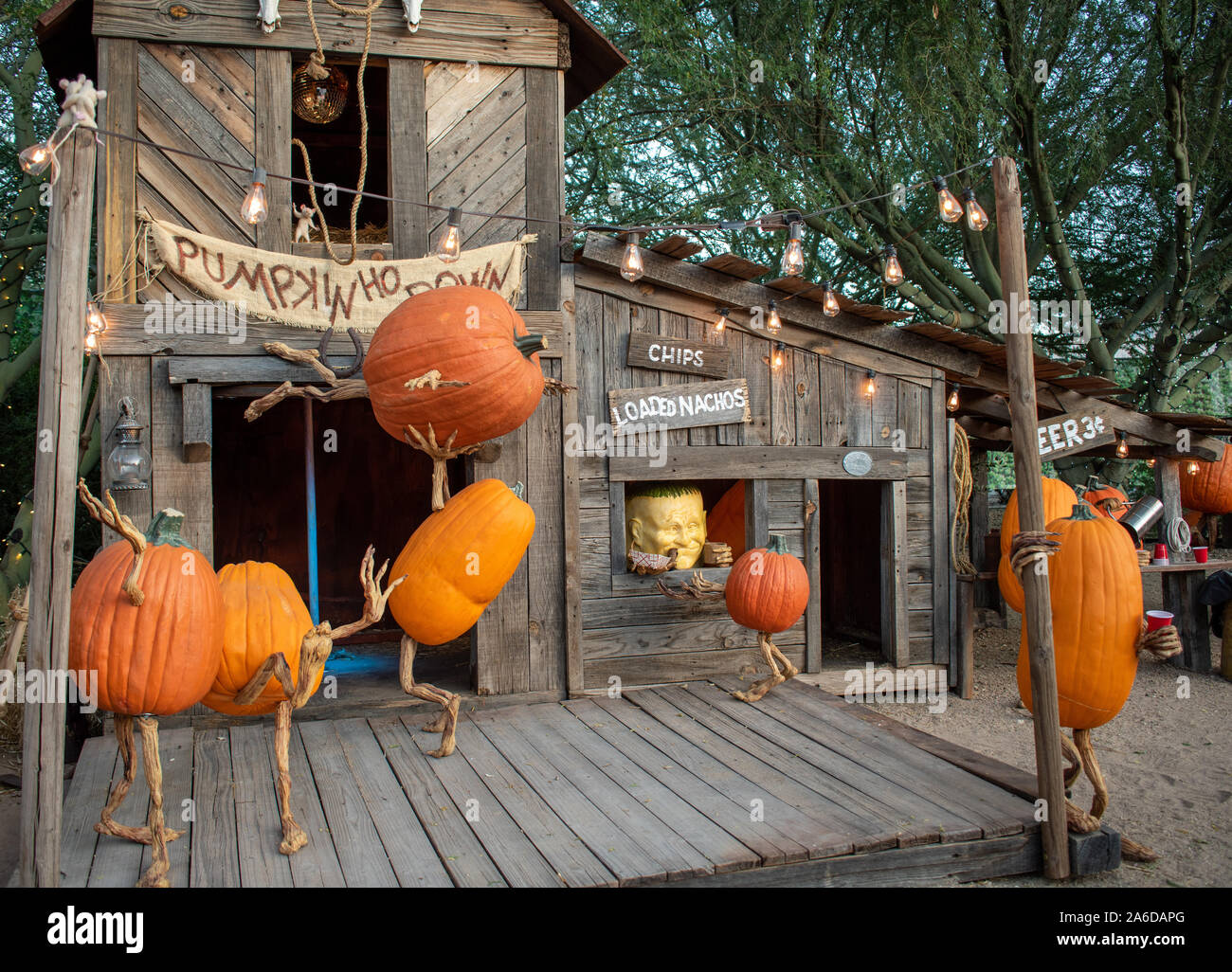 Carved pumpkin scene Stock Photo