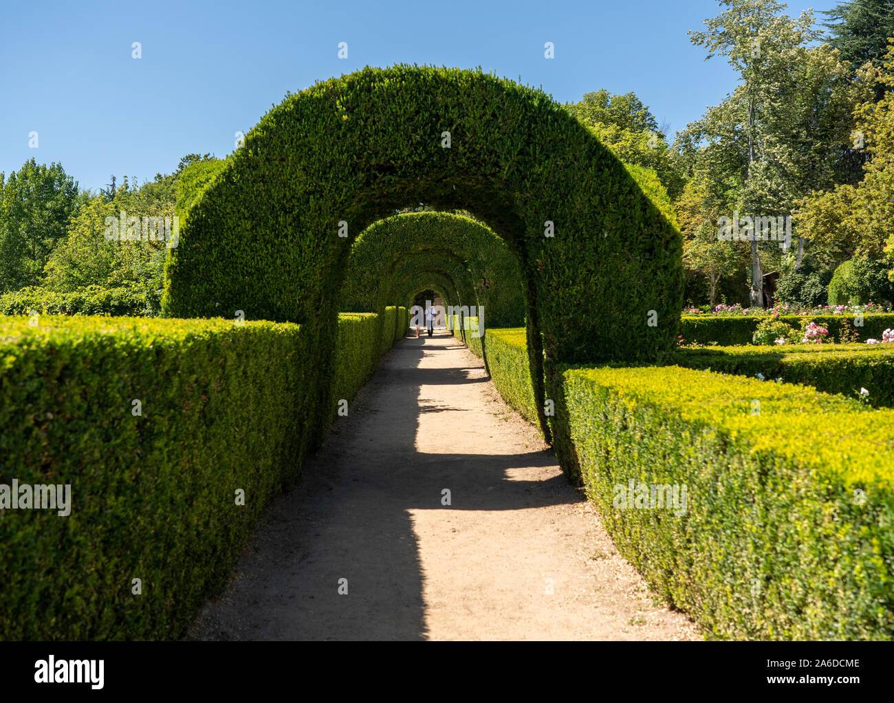 Yew Arch Hedge Stock Photos Yew Arch Hedge Stock Images Alamy