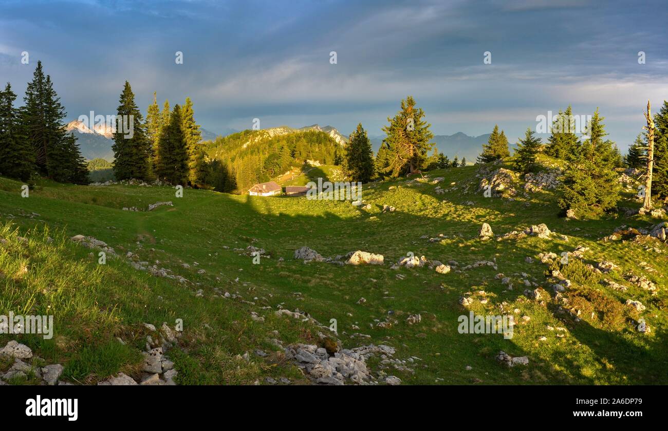 early morning at Kohler Alm mountain hut near Inzell, Bavaria, Germany Stock Photo