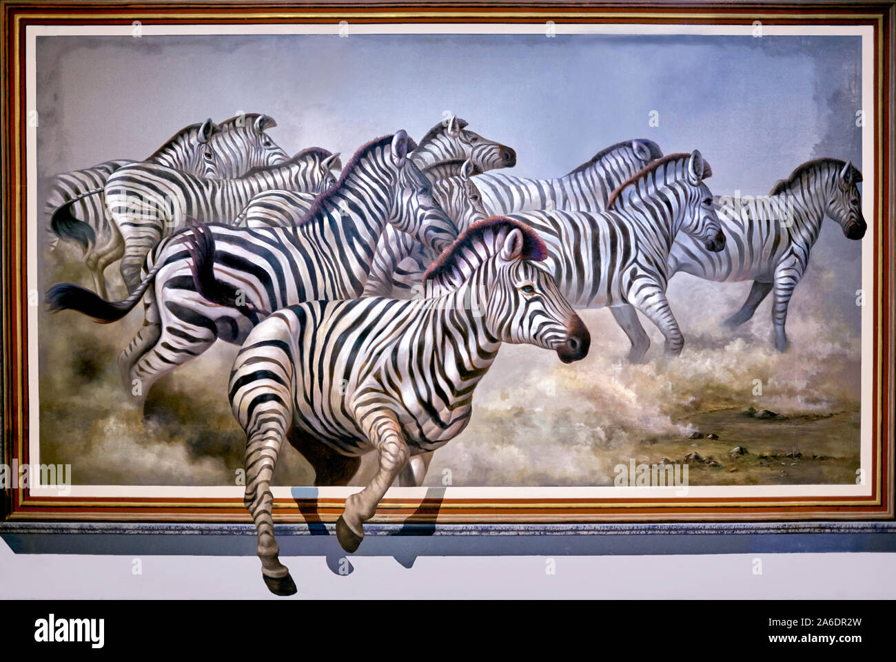 Zebra horses hires stock photography and images Alamy
