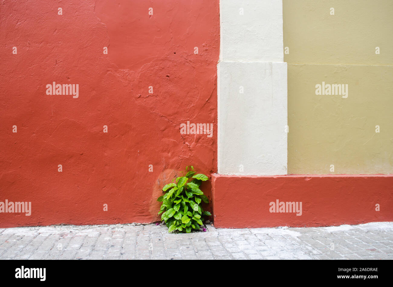 Wall detail on the side facade of the old Santa Clara Convent in Cartagena Stock Photo