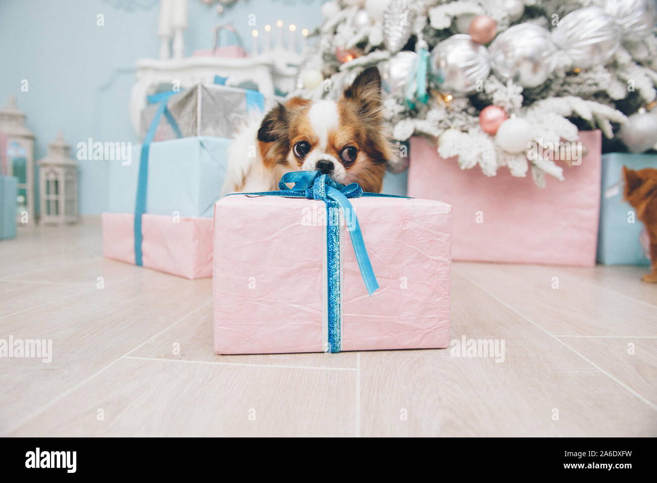 Birthday Tag Christmas Dog Gift Tag Chihuahua Christmas Tree Bauble 