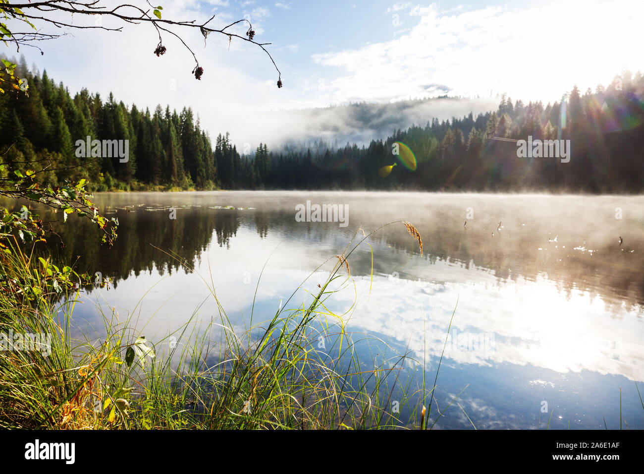 Misty mountain lake in the early serene morning in mountains Stock ...