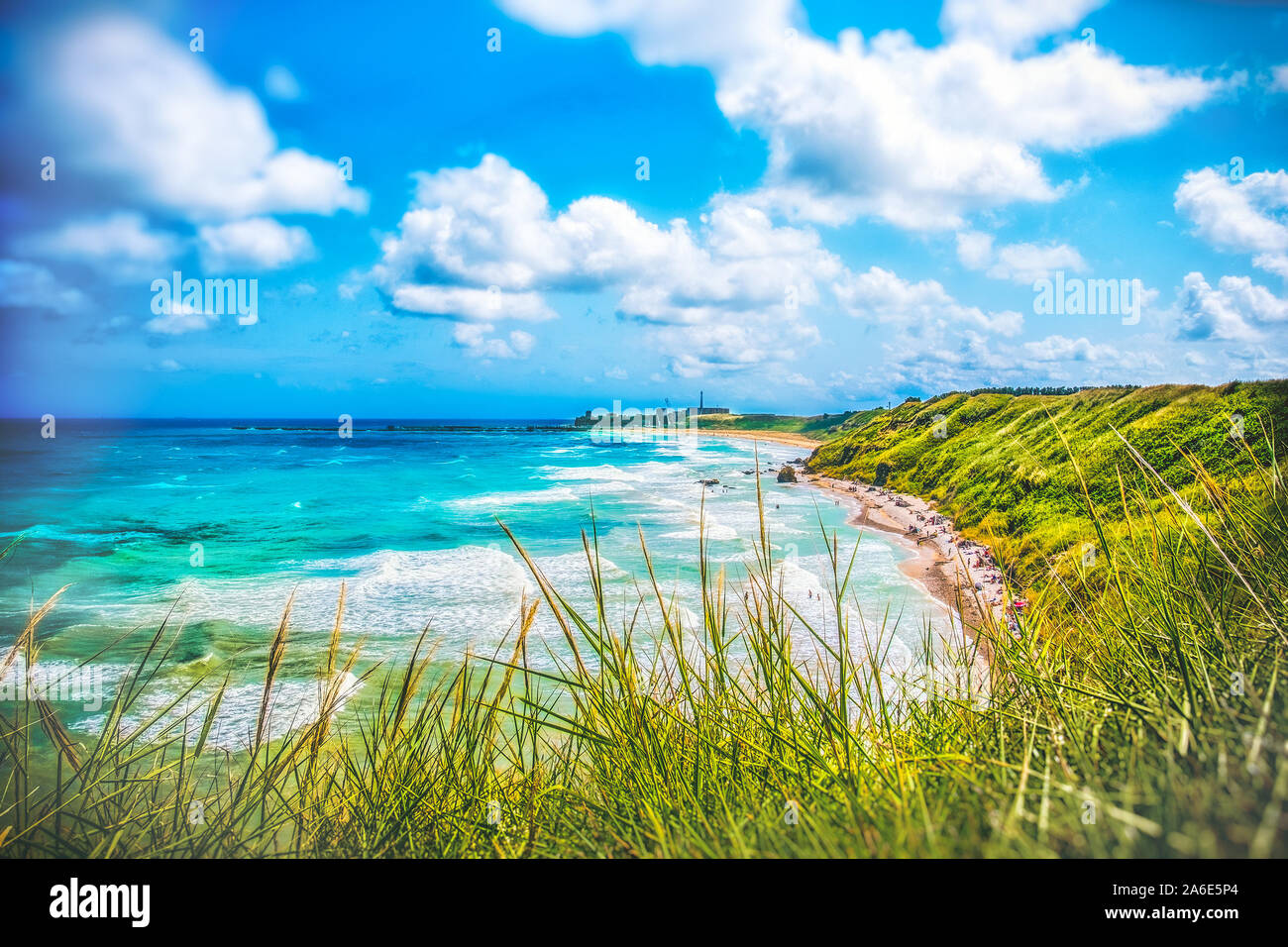Colorful seascape of Italy - Abruzzo - Vasto - Punta Aderci and Libertini beach with wild grass Stock Photo