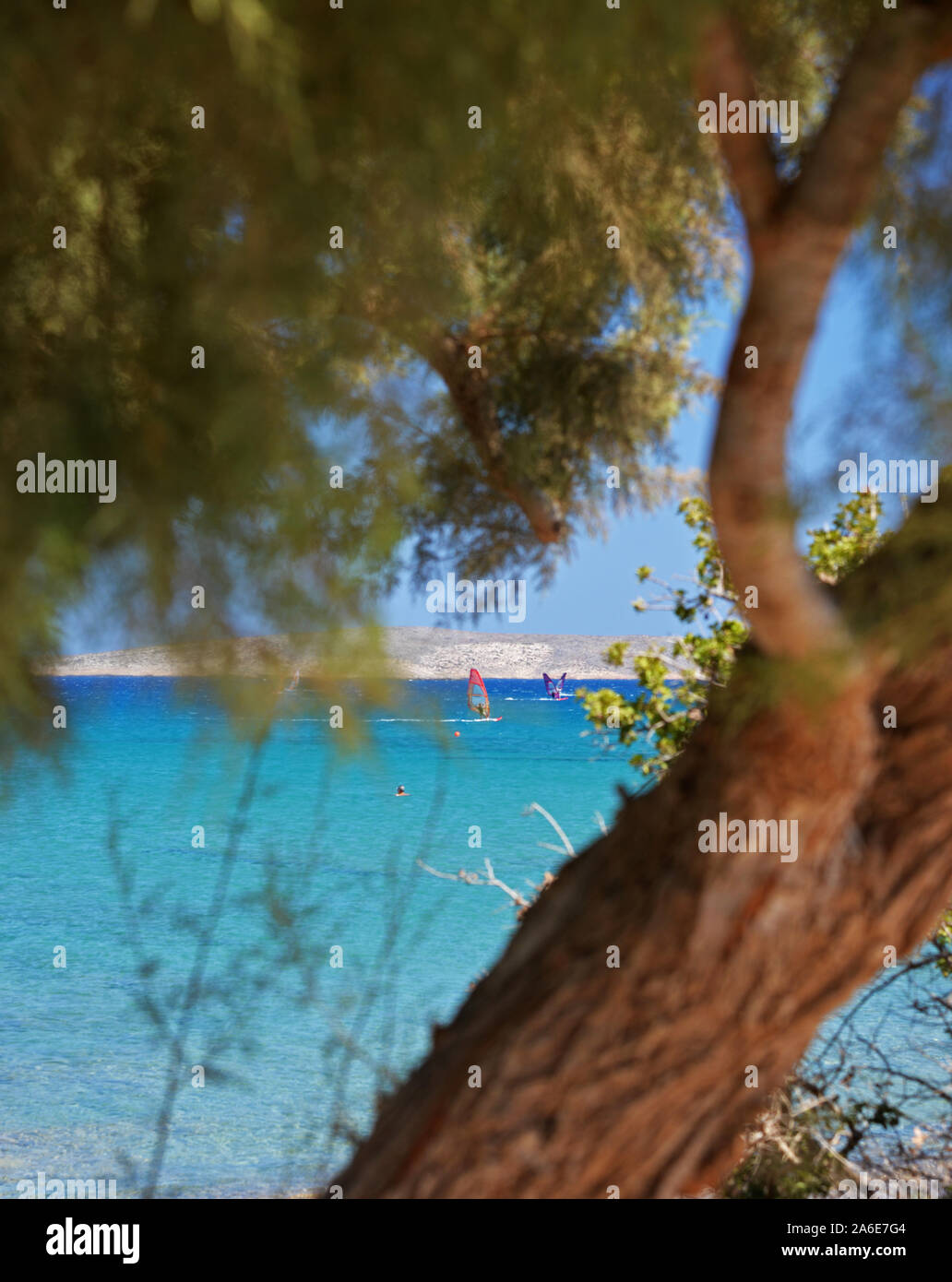 Windsurfers and swimmer as seen through a tamarix tree at Kouremenos beach, Crete, Greece. Stock Photo
