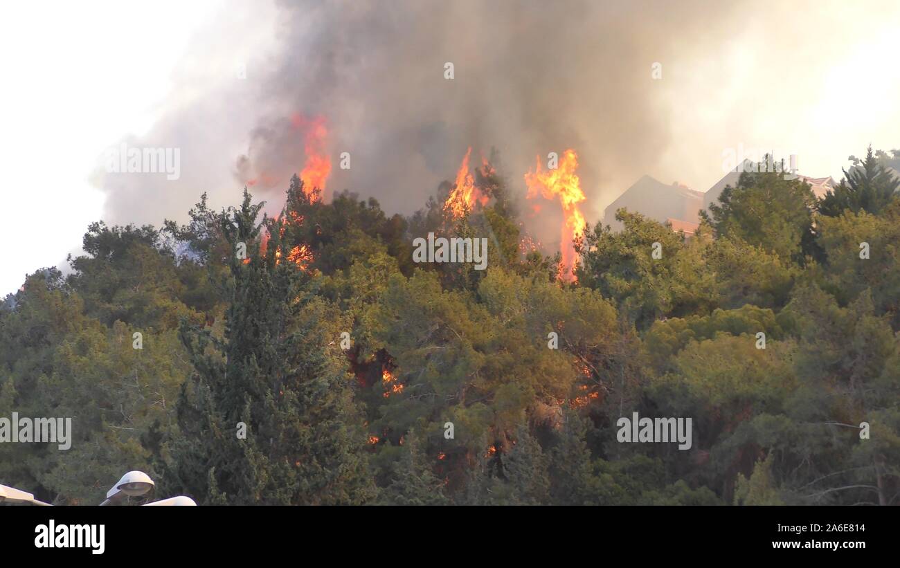 Trees catch fire near houses and residential urban buildings Stock ...
