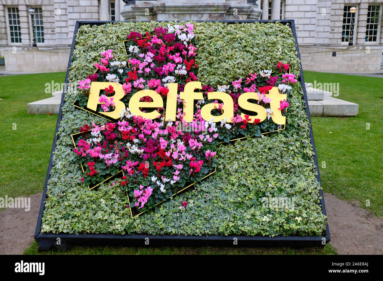 Flower arrangement of the Belfast city logo in front of city hall Stock