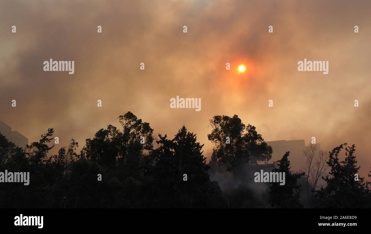 Trees catch fire near houses and residential urban buildings Stock