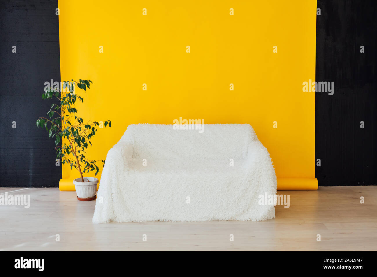 White Sofa With Green Home Plant In The Interior With A Yellow