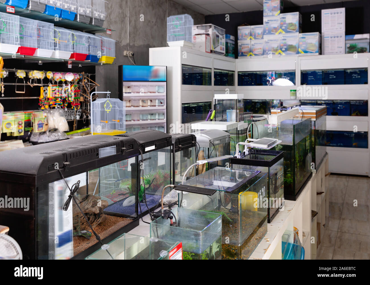 Large assortment of modern goods for aquarists and bird fanciers in modern pet shop Stock Photo Alamy