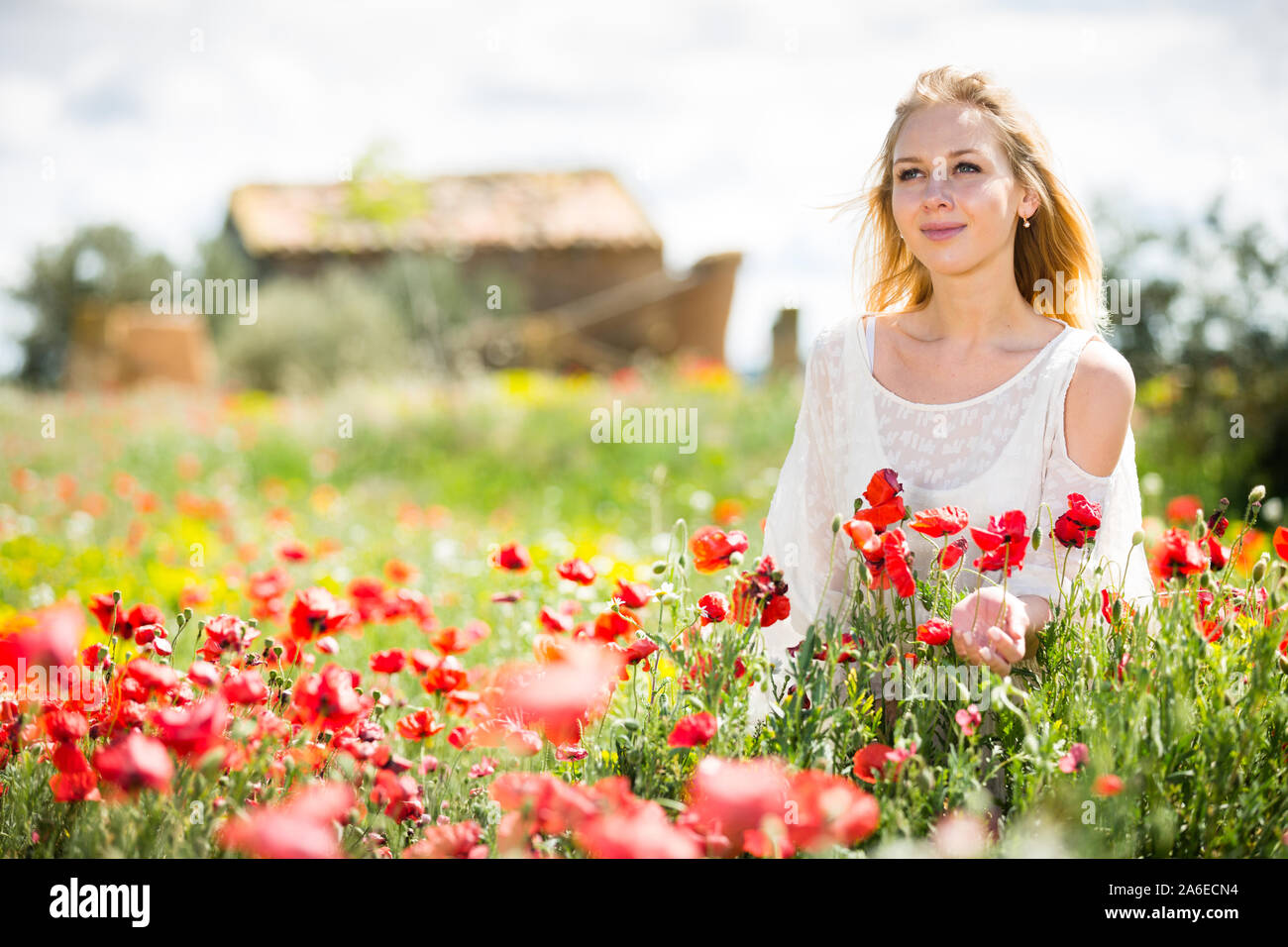 Beautiful woman wearing white dress in poppy field and enjoying summer ...