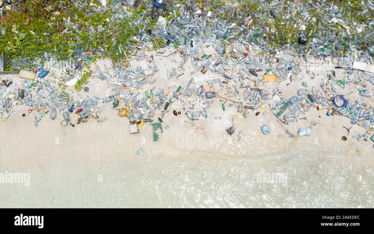 Single use plastic PET bottles washed on a coastal beach Stock Photo