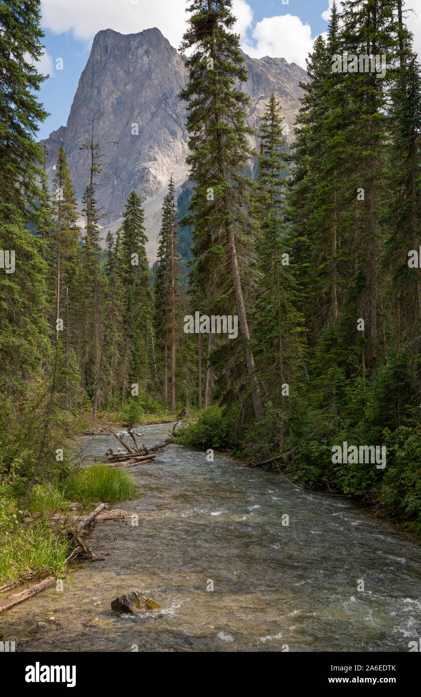Creek in yoho national hi-res stock photography and images - Alamy