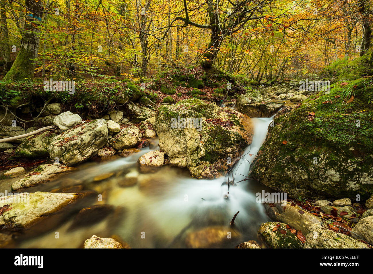 Small river flowing through rocks and stones in colorful autumn forest, long exposure, Natural reserve Camosciara, Abruzzo, Italy Stock Photo