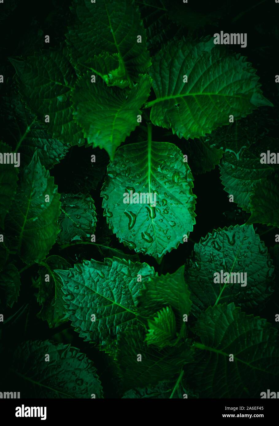 Textured in hi-res stock photography and images - Alamy