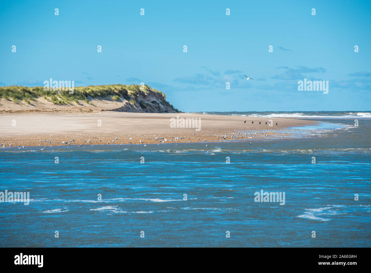 Scolt Head Island National Nature Reserve seen from Holkham beach across the narrow Burn river estuary. North Norfolk coast. East Anglia. England. UK. Stock Photo