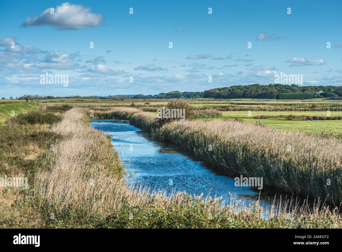 Views of waterway surrounded by reeds, from Norfolk Coast path National Trail near Burnham Overy Staithe, East Anglia, England, UK. Stock Photo