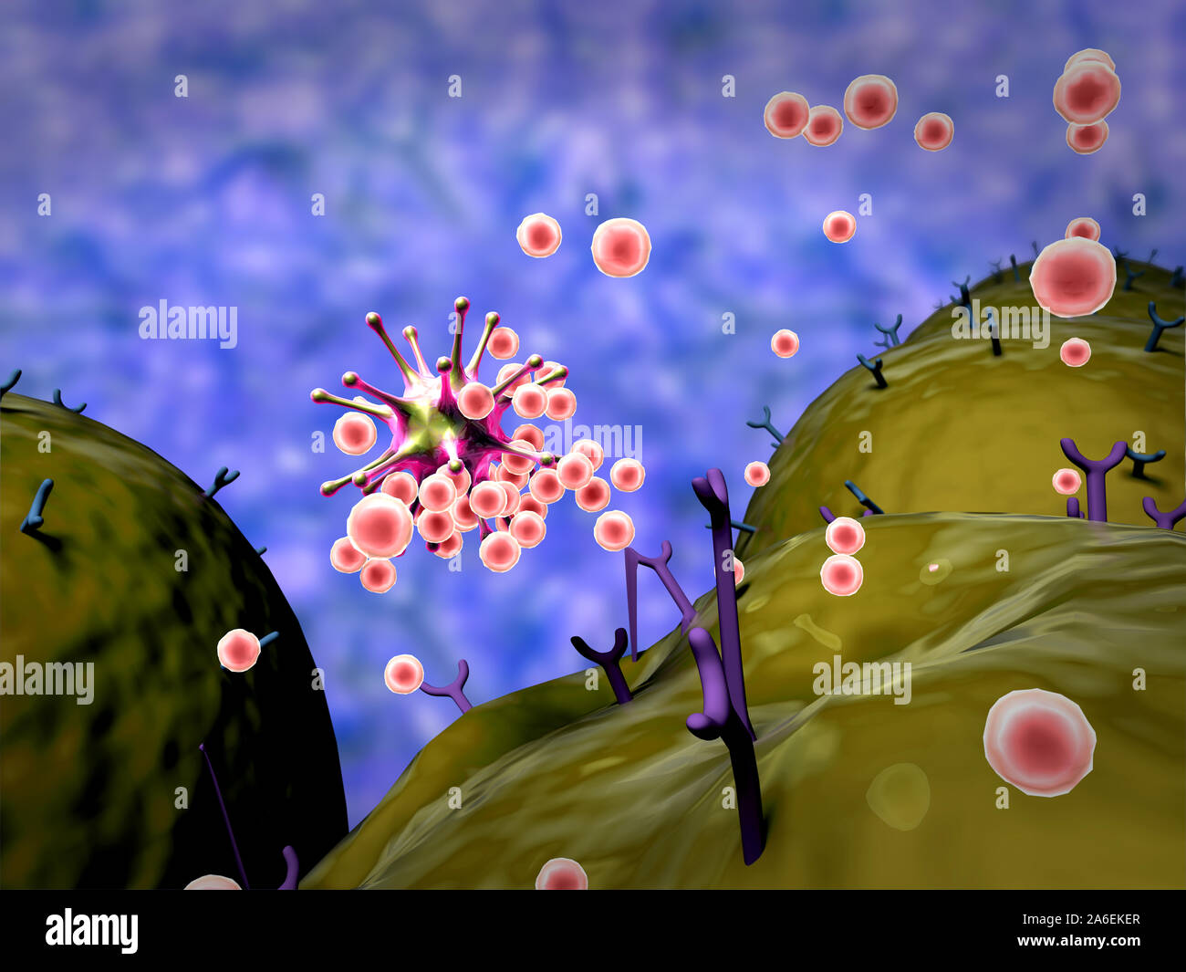 field of cells with receptors, Human Immune System attack the virus, virus attack the cells Stock Photo