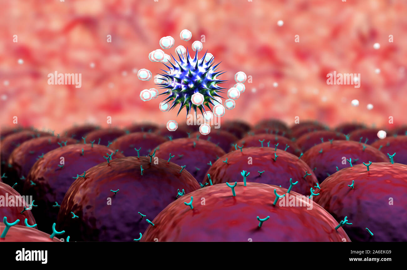 field of cells with receptors, Human Immune System attack the virus ...