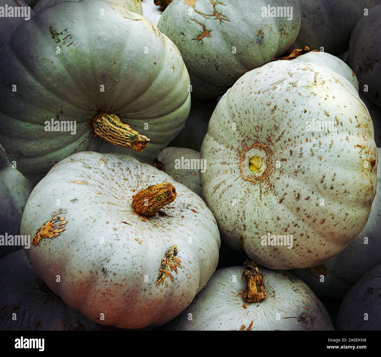 Different vegetables texture hi-res stock photography and images - Alamy