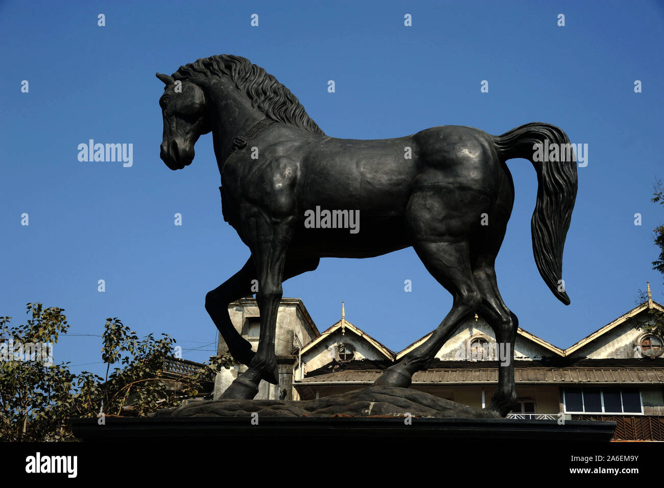 Black Horse And Bombay Stock Exchange Stock Photos & Black Horse And