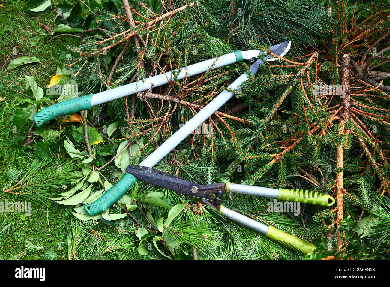 Garden loppers and shears on a heap of fir tree branches Stock Photo