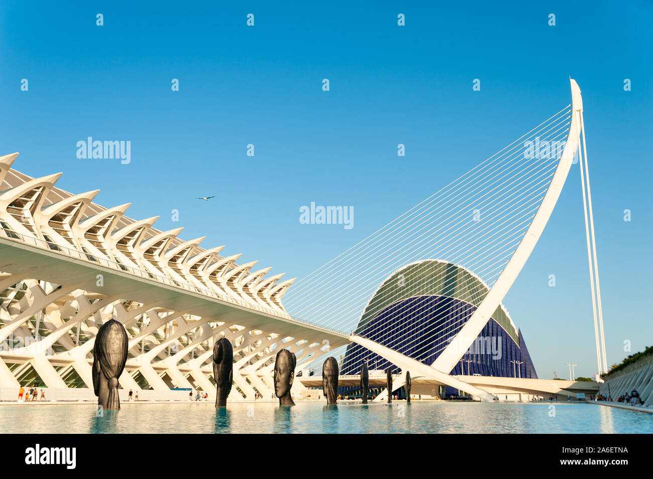 view of city of arts and sciences with Pont de l'Assut de l'Or and Agora in background, and pool at sunset, in valencia, spain Stock Photo