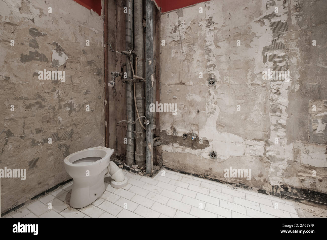 Portable Toilet During Bathroom Renovation