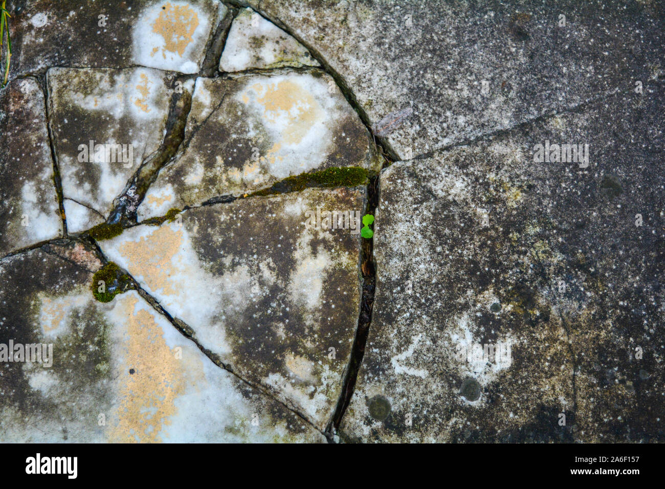 Ancient cracked white marble slab with moss, dirt and lichen. Broken