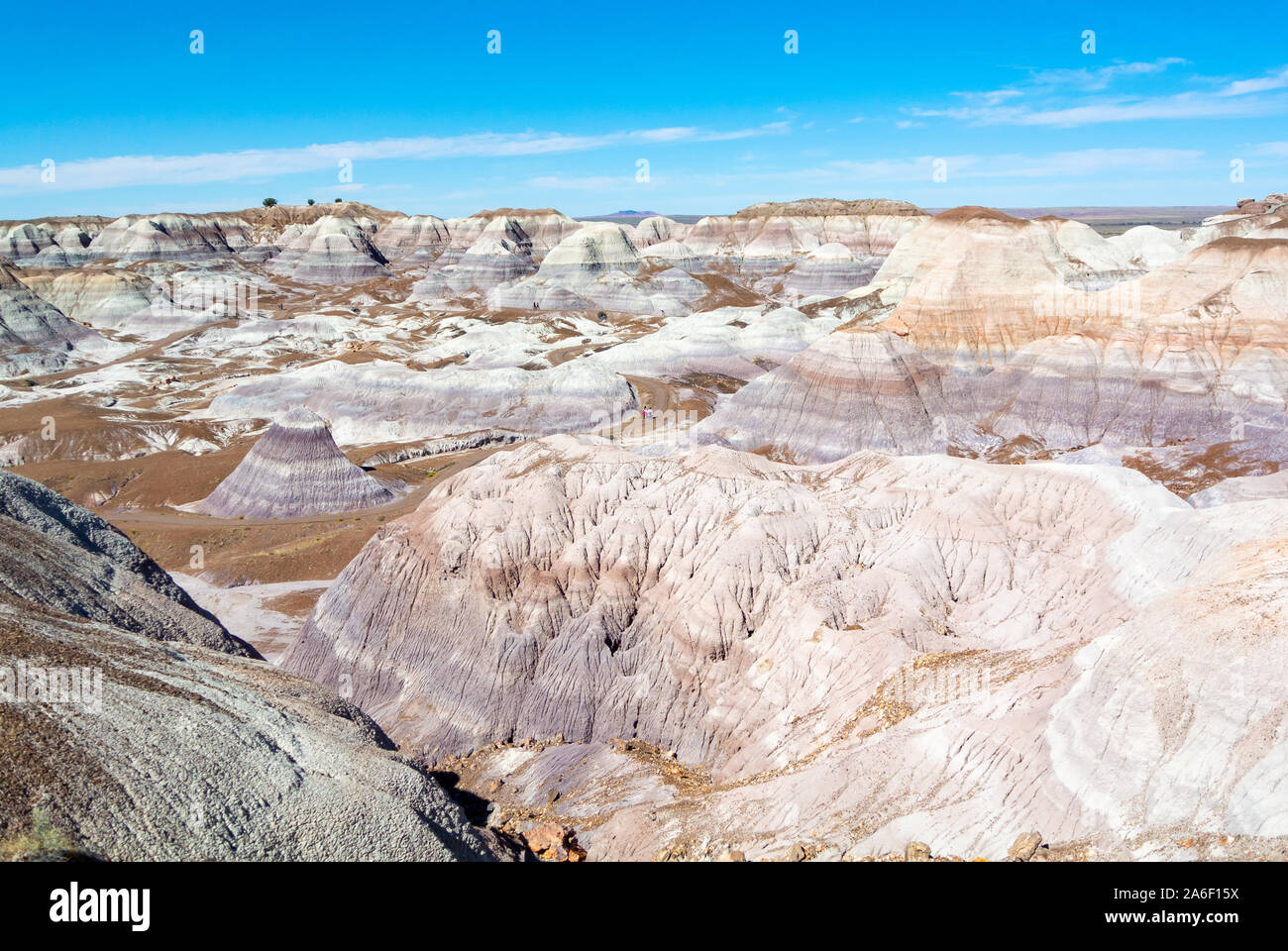 Panoramic view of landscape Petrified forest national park, Arizona, USA, united states of america Stock Photo