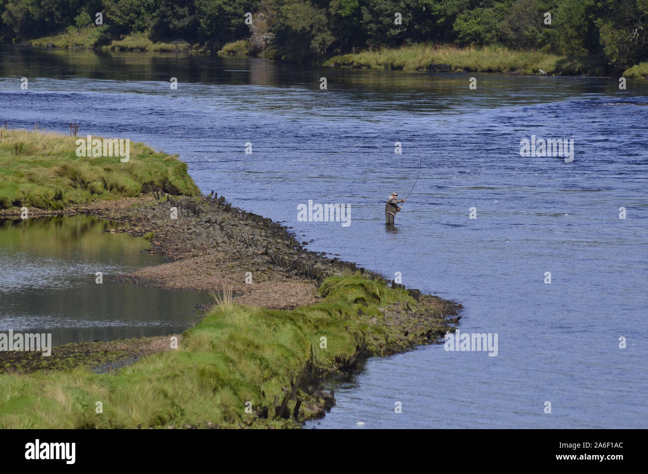 Fly fisherman in the River Oykel at the Kyle of Sutherland Bonar Bridge Sutherland Scotland UK Stock Photo