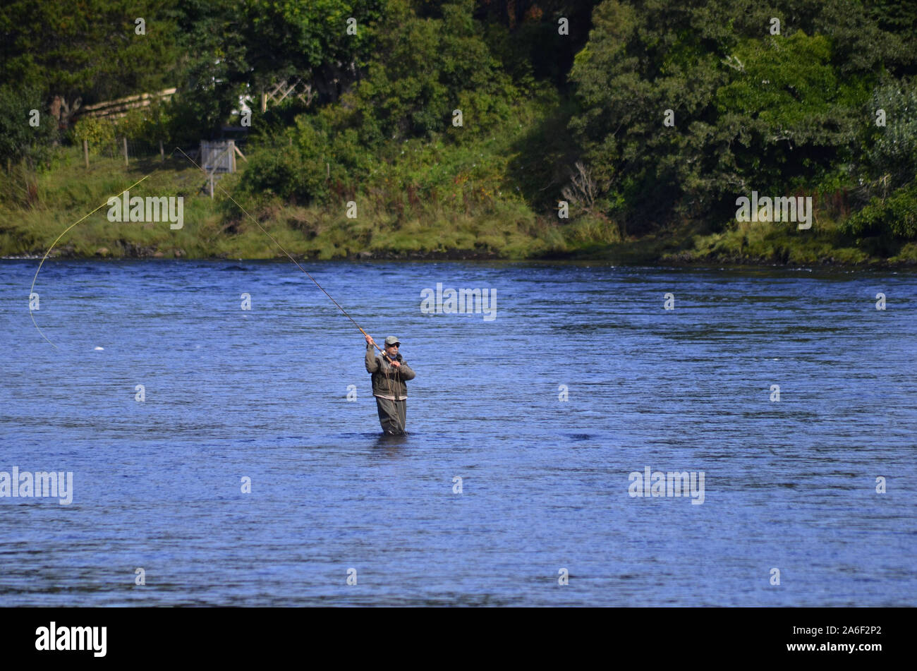 Fly fisherman in the River Oykel at the Kyle of Sutherland Bonar Bridge Sutherland Scotland UK Stock Photo