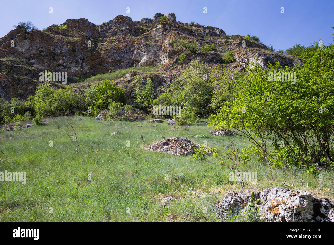 Spring in the forest. There are a cliff and trees Stock Photo - Alamy