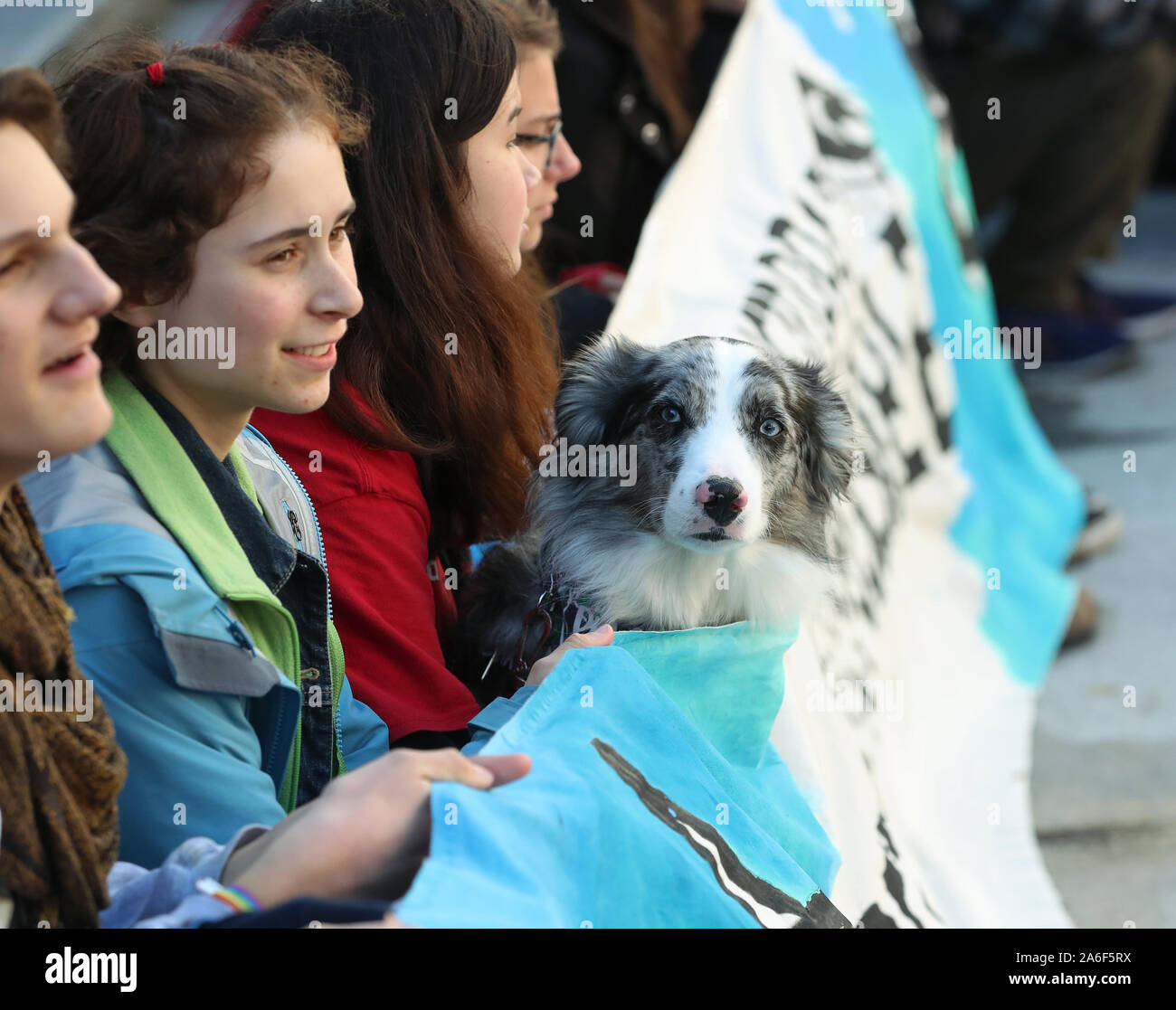 Vancouver, British Columbia, Canada, 25th October 2019. A dog joins protestors holding a banner after Swedish teen activist Greta Thunberg arrives for the post federal election Friday climate strike march starting and ending at the Vancouver Art Gallery in Vancouver, British Columbia on Friday, October 25, 2019. Organized by local youth-led, Sustainabiliteens, Greta and a turn out of nearly 10,000 climate activists demand action from industry and the various levels of government and are supporting the 15-youth who announced their plans to sue the federal government alleging it has contributed  Stock Photo