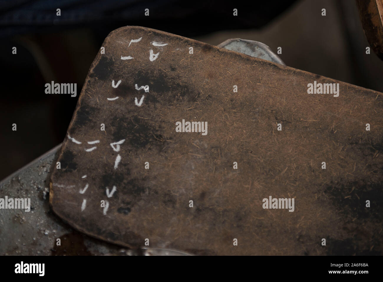 old men from Damascus playing cards and dice games Stock Photo