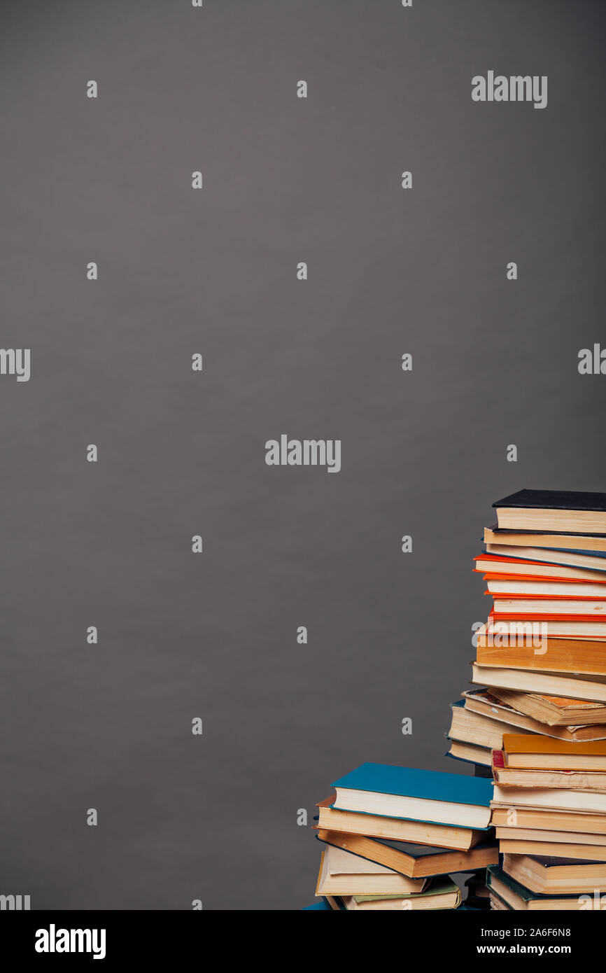 a lot of different educational books on a gray background Stock Photo