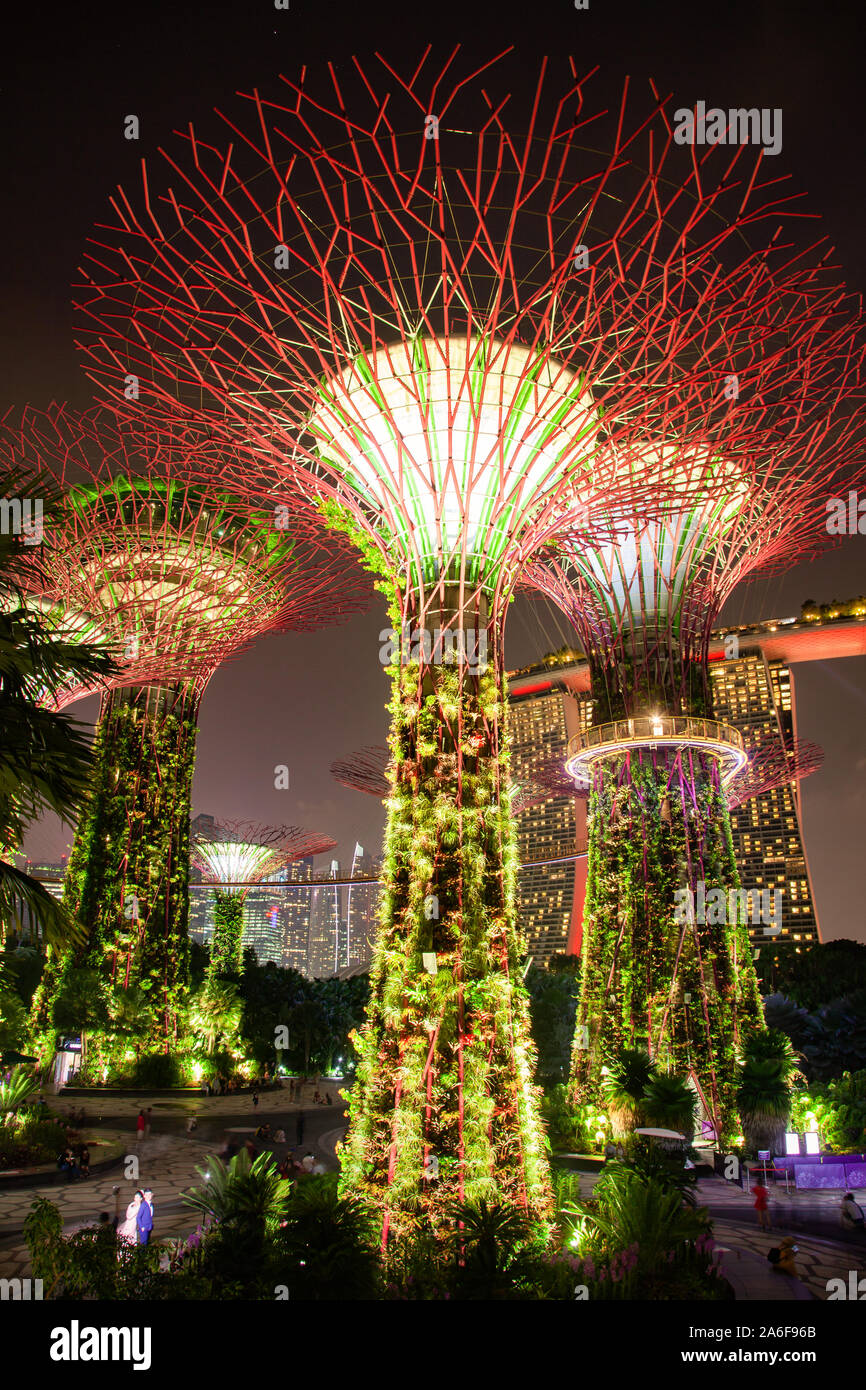 SINGAPORE, SINGAPORE MARCH 2019 Supertrees illuminated for light