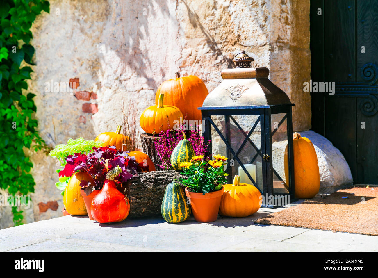 autumn still life and street decoration with pumpkins Stock Photo