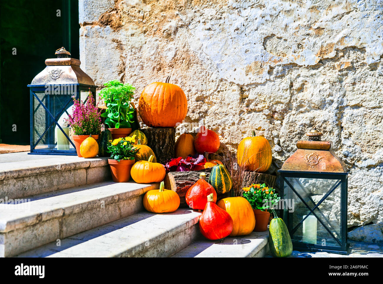 autumn still life and street decoration with pumpkins Stock Photo - Alamy