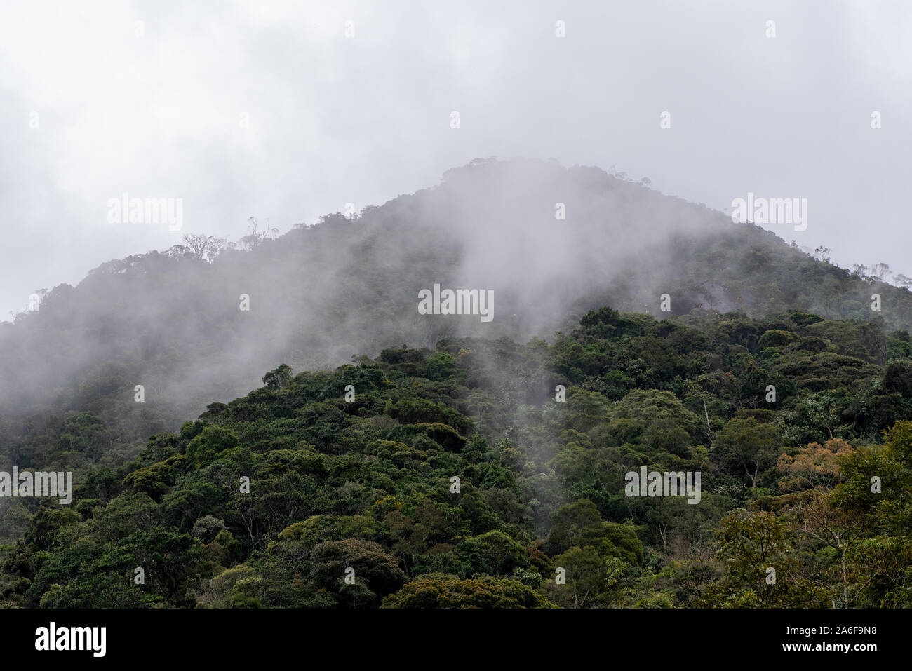 Foggy mountains in the Atlantic Rainforest viewed from Valley of Love (Vale do Amor), Rio de Janeiro, Brazil. Vale do Amor is a non-profit garden and Stock Photo
