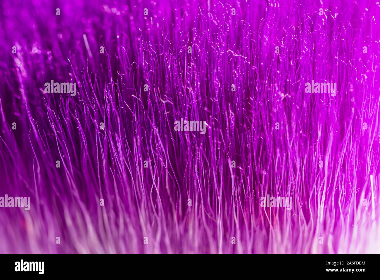 purple abstract background, textured template image, brush close up Stock Photo