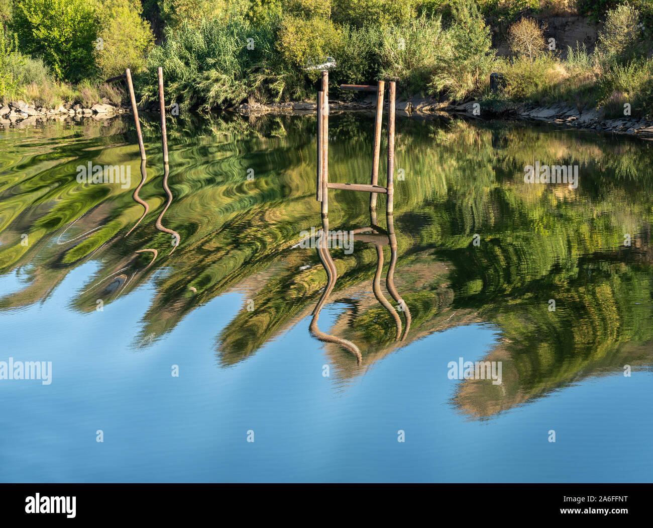 Wavy stakes and wooden poles for boat moorings and anchors reflected in calm Douro river in Portugal Stock Photo