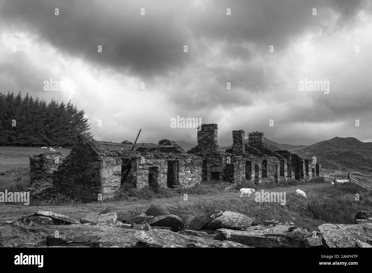 The abandoned Rhos Slate Quarry at Capel Curig, below Moel Siabod in the Snowdonia National Park, Wales Stock Photo