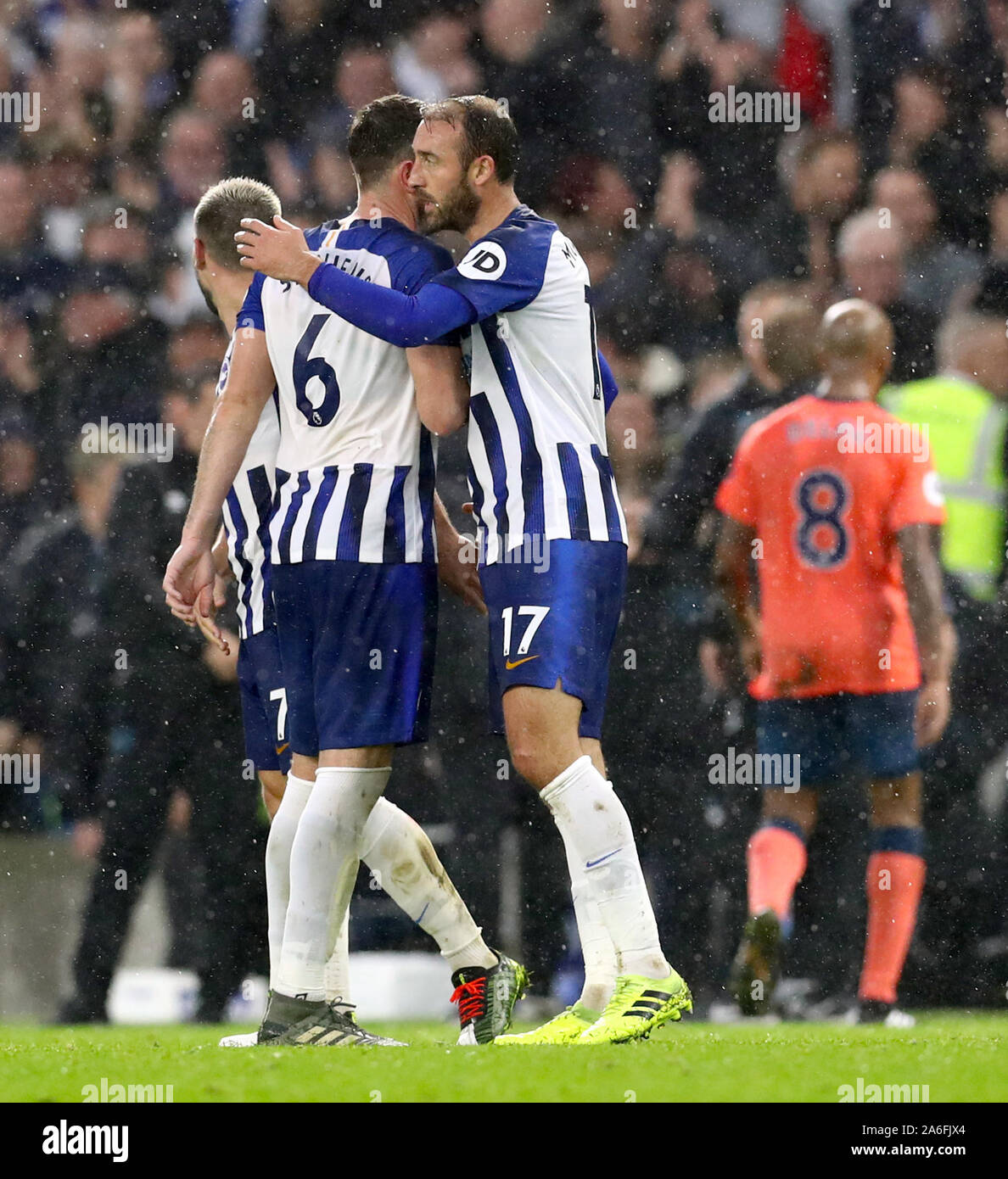 Brighton and Hove Albion's Dale Stephens and Brighton and Hove Albion's Glenn Murray celebrate after the final whistle during the Premier League match at the AMEX Stadium, Brighton. Stock Photo