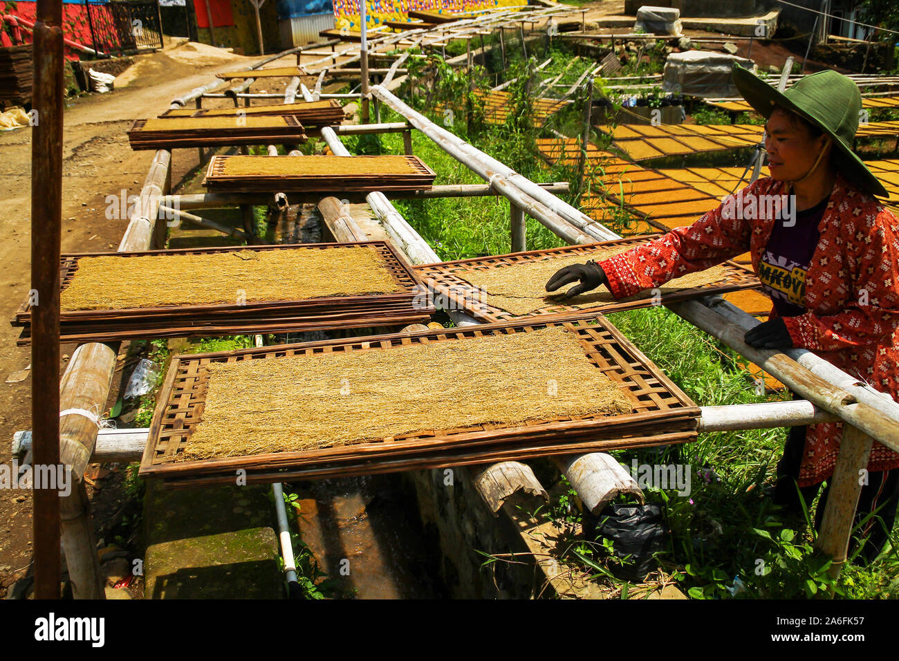 real tobacco village Sumedang, Indonesia. 25th Feb, 2019. Resident at the village seen with in  drying tobacco under the sun.Banyuresmi Village, Sumedang Regency is a tobacco  village famous for producing dry tobacco, within 40 days