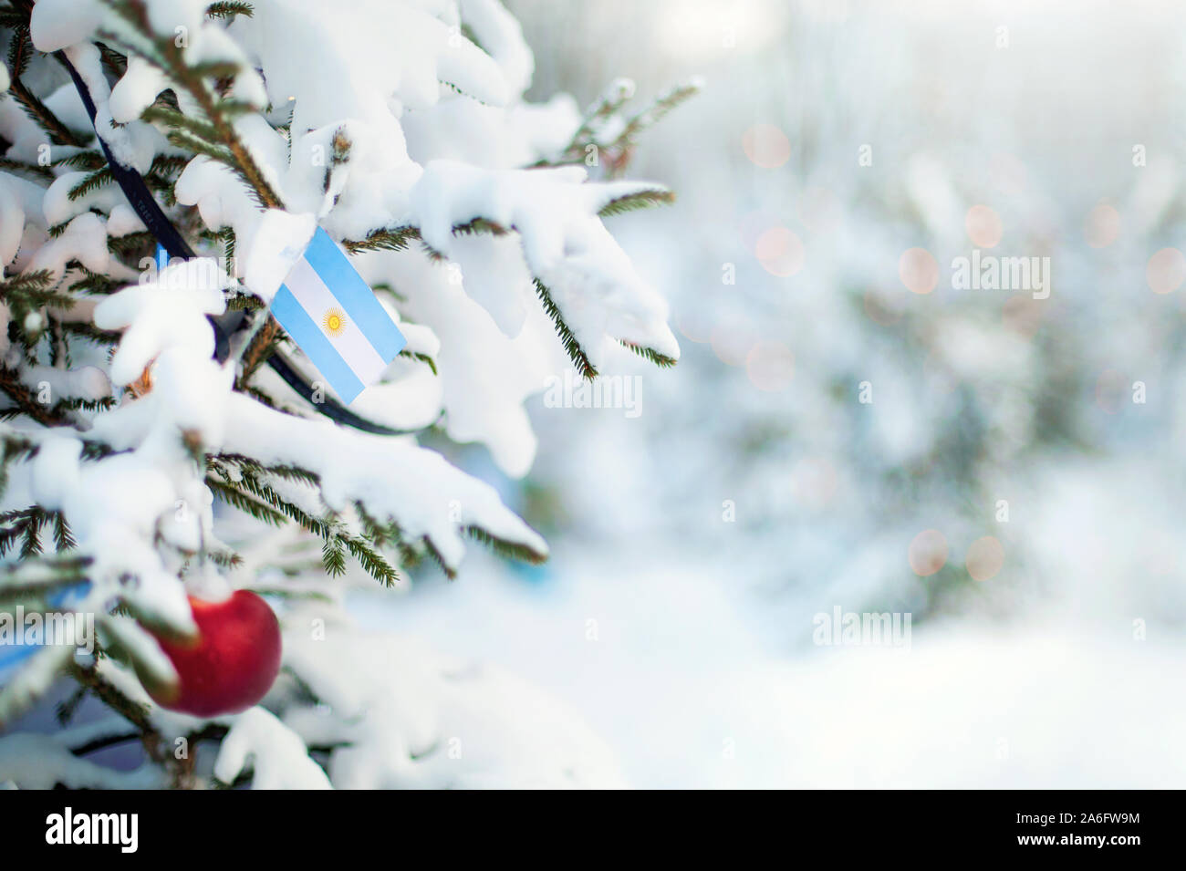 Christmas Argentina. Xmas tree covered with snow, decorations and a