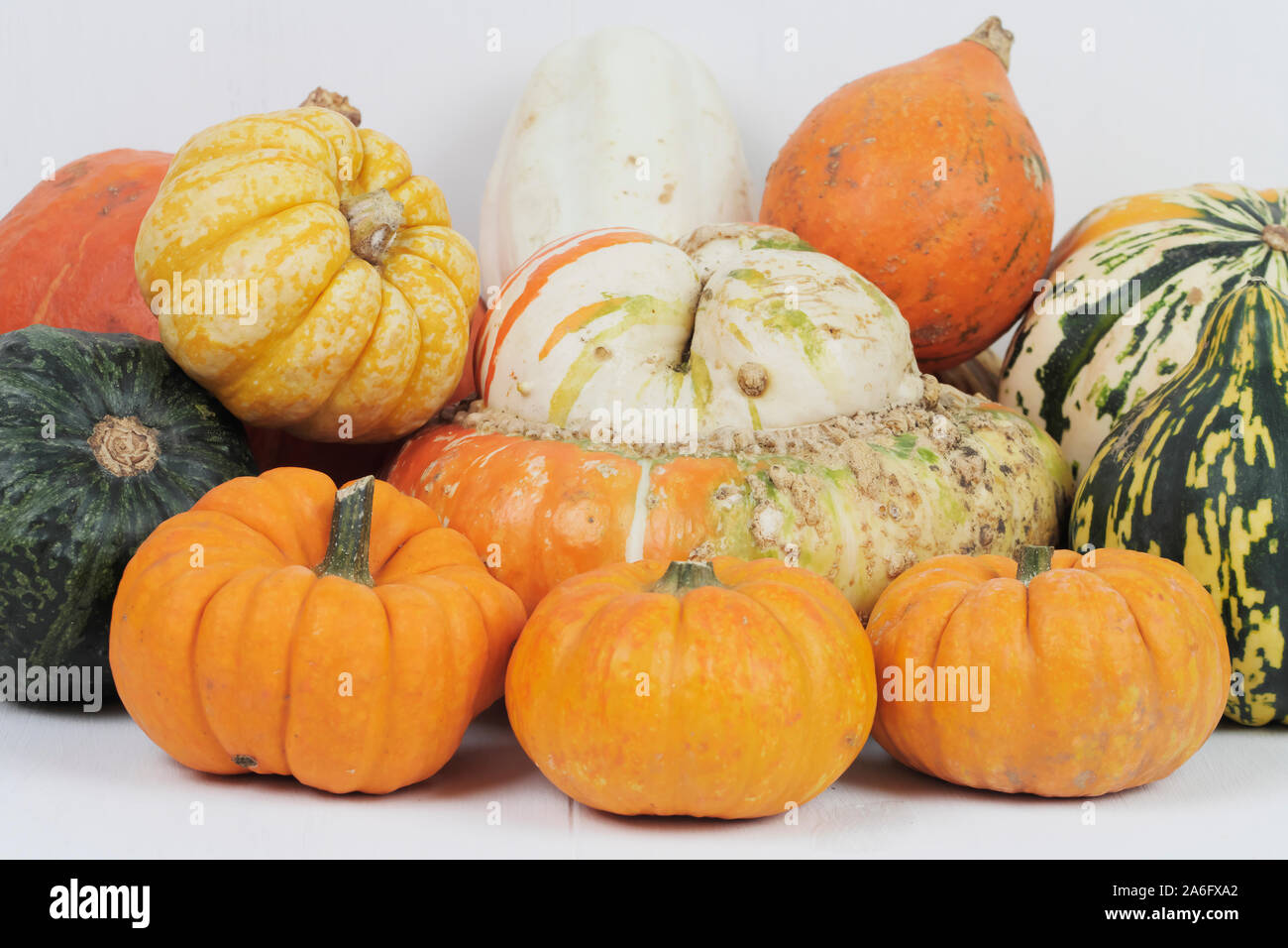 A selection of autumnal pumpkins and squashes Stock Photo