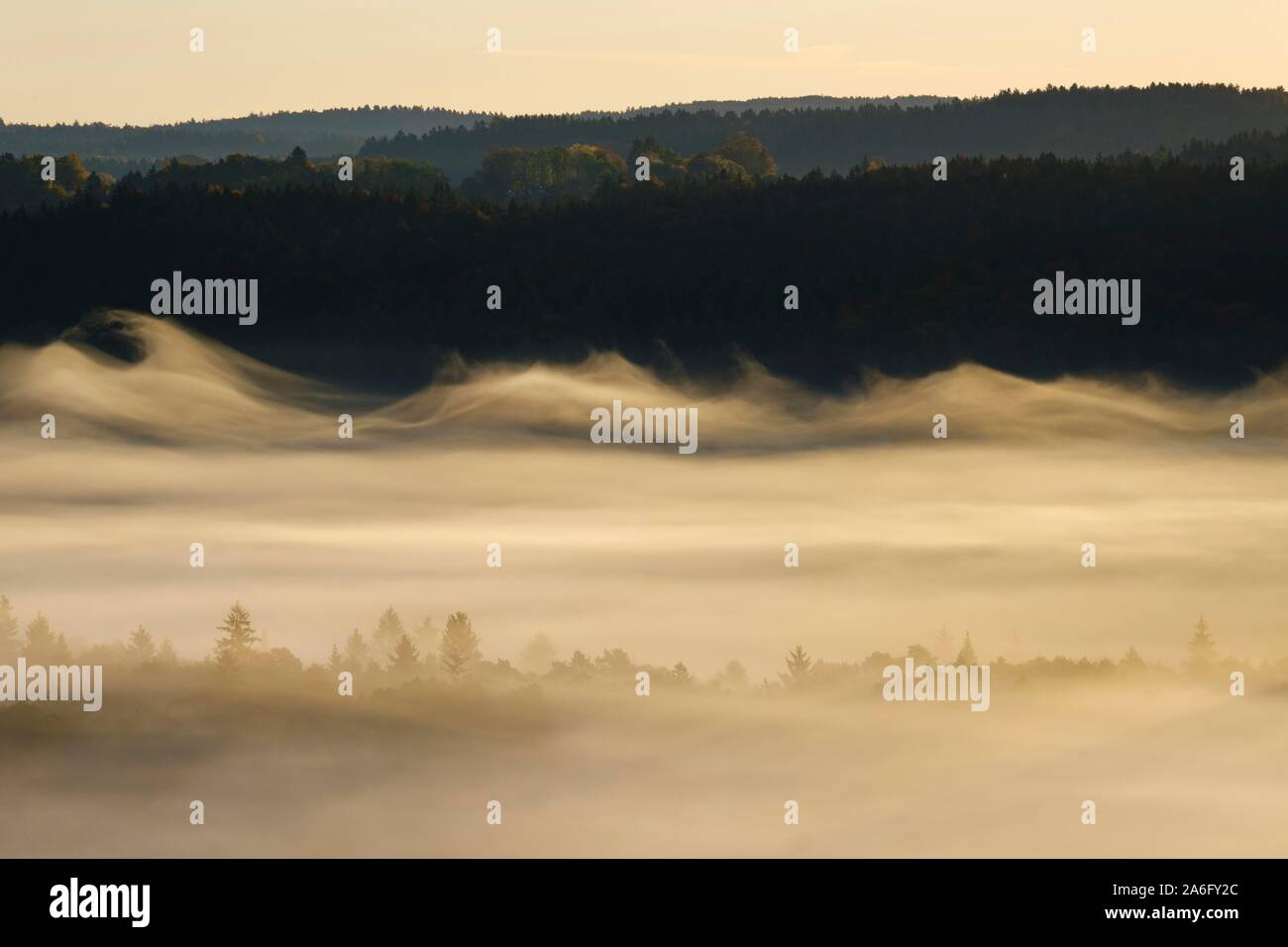Fog in the Pupplinger Au at sunrise, Nature Reserve Isarauen, between Icking and Wolfratshausen, Upper Bavaria, Bavaria, Germany Stock Photo