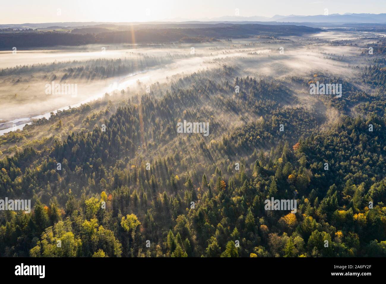 Isar in the Pupplinger Au at sunrise, Nature Reserve Isarauen, near Wolfratshausen, aerial view, Upper Bavaria, Bavaria, Germany Stock Photo
