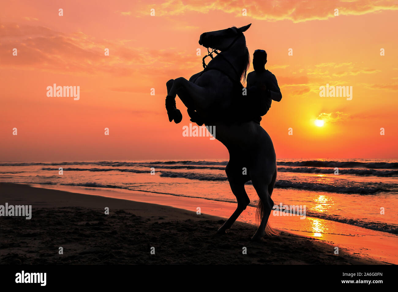 Silhouette photo of horse rearing up with rider Stock Photo